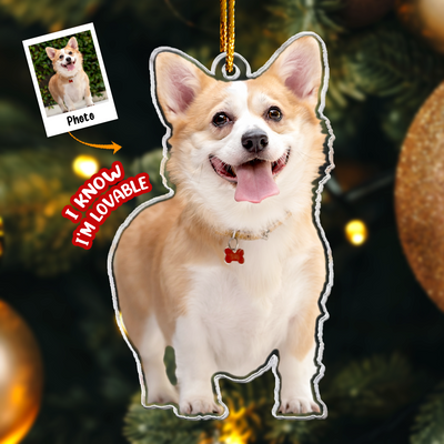 Corgi Christmas Decorations - Corgi Ornament - Personalized Acrylic Photo Ornament