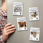 Funny_Pet_The_Trouble_Maker_Of_The_Year_For_Dog_Lovers_Cat_Lovers_Personalized_Magnet_2