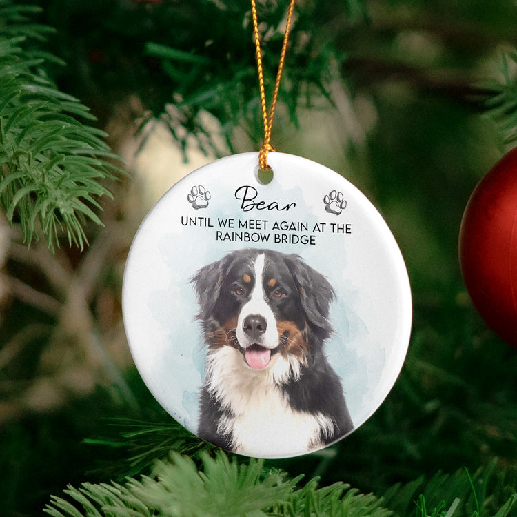 custom-watercolor-pet-portrait-memorial-pet-loss-gift-personalized-ornament-4